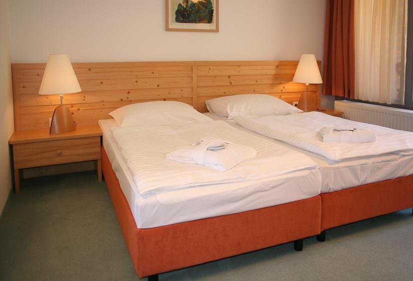 Hotel Bergkristall ヴィルダルペン エクステリア 写真